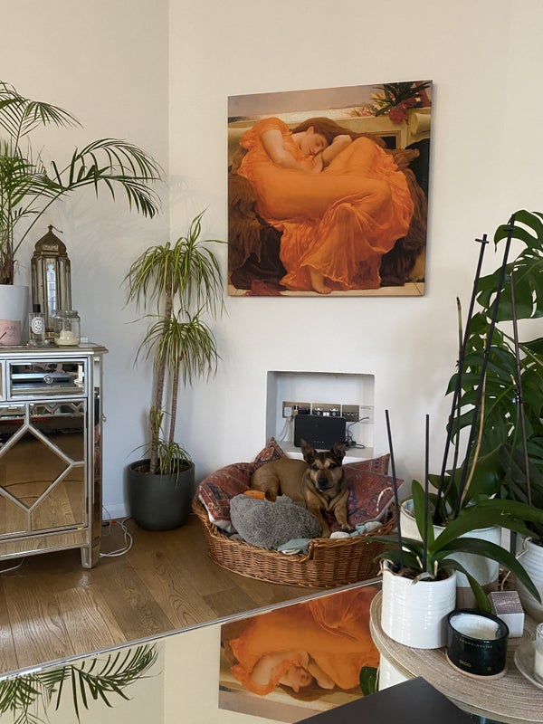 Photo 1: Beautiful open plan front room