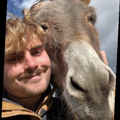 Photo 1: I work with Donkey's