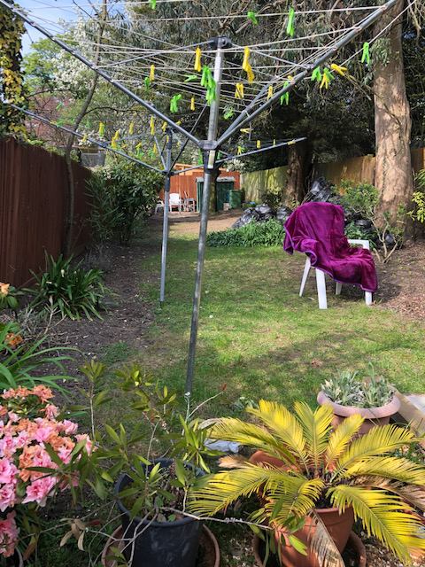 Photo 1: Back Garden