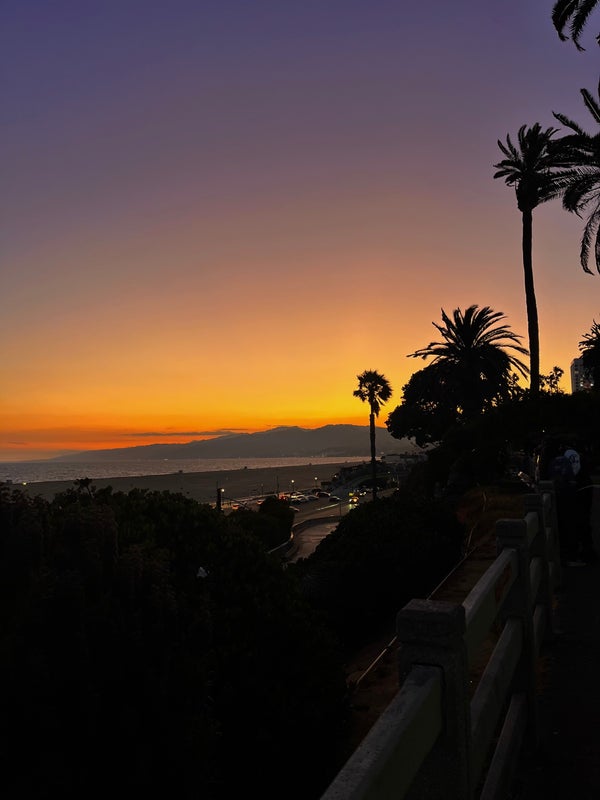 Photo 1: Urgent Professional Female Looking for Studio Bills Inc 