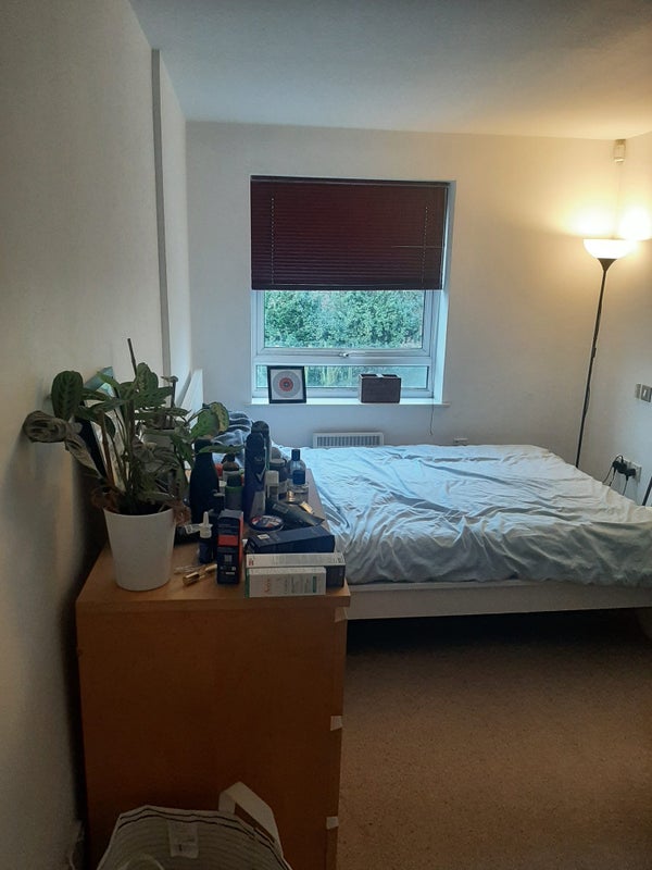 Photo 1: bedroom image 1