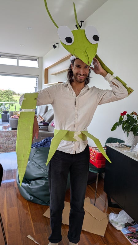 Photo 1: Goofin as a mantid