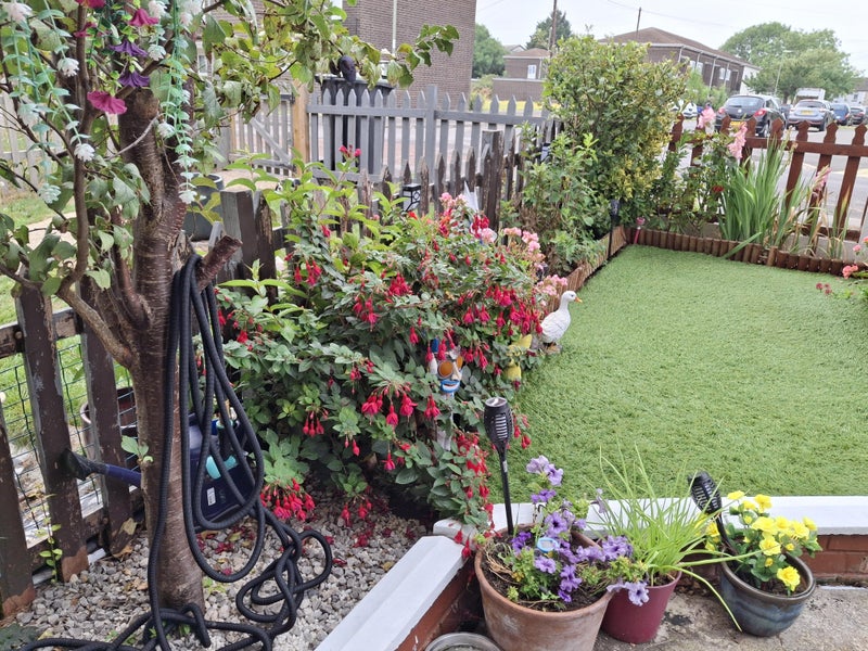 Photo 1: Front of house