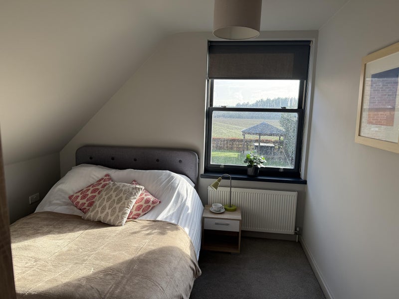 Photo 1: Sunny bedroom 