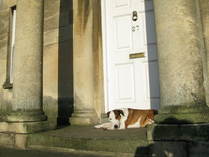 Photo 1: front of house