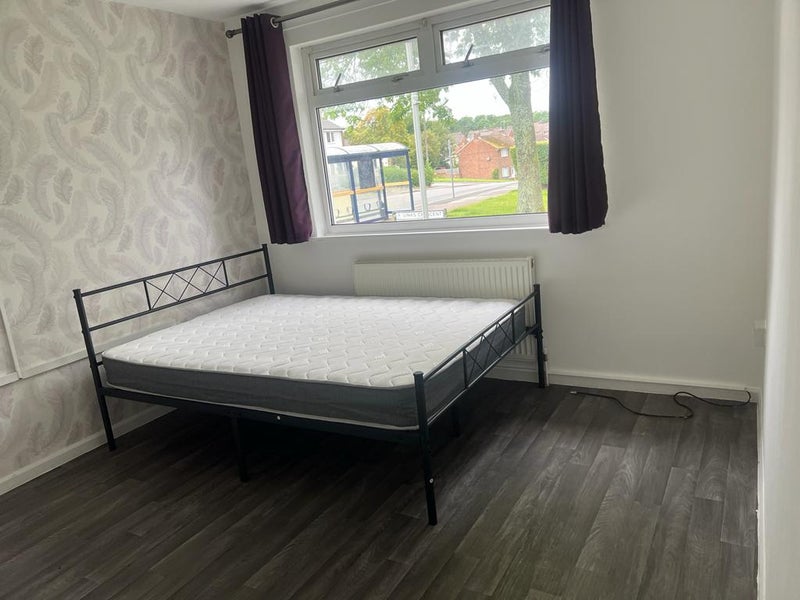 Photo 1: Room View-2