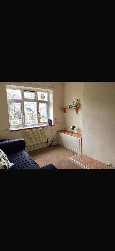 Photo 1: living room (downstairs)