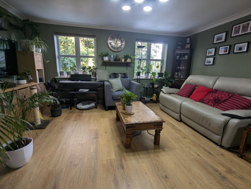 Photo 1: Living room