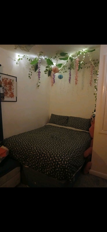 Photo 1: Bedroom available