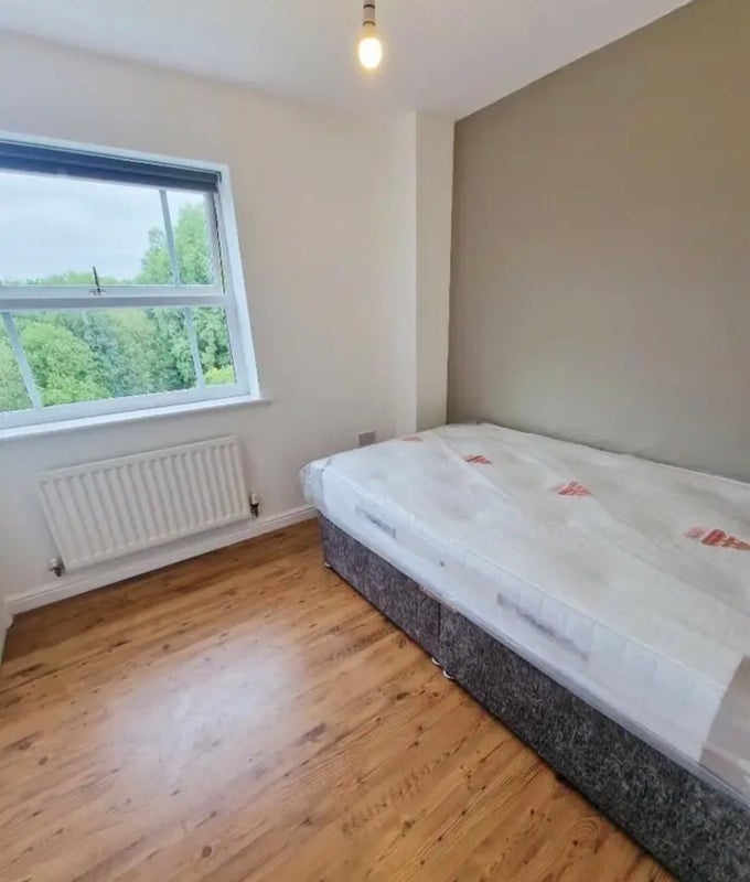 Photo 1: Beautiful single room for female 