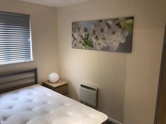 Photo 1: 1 Single Bedroom