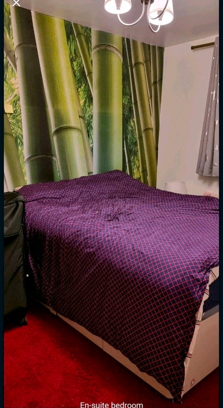 Photo 1: En-Suite bedroom