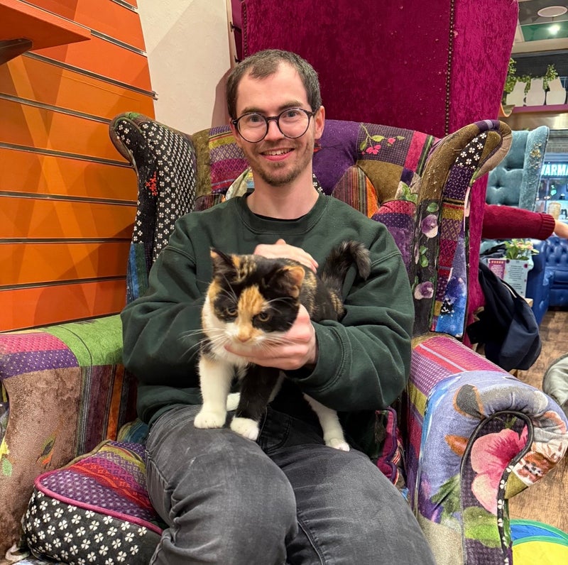 Photo 1: (Not my cat)