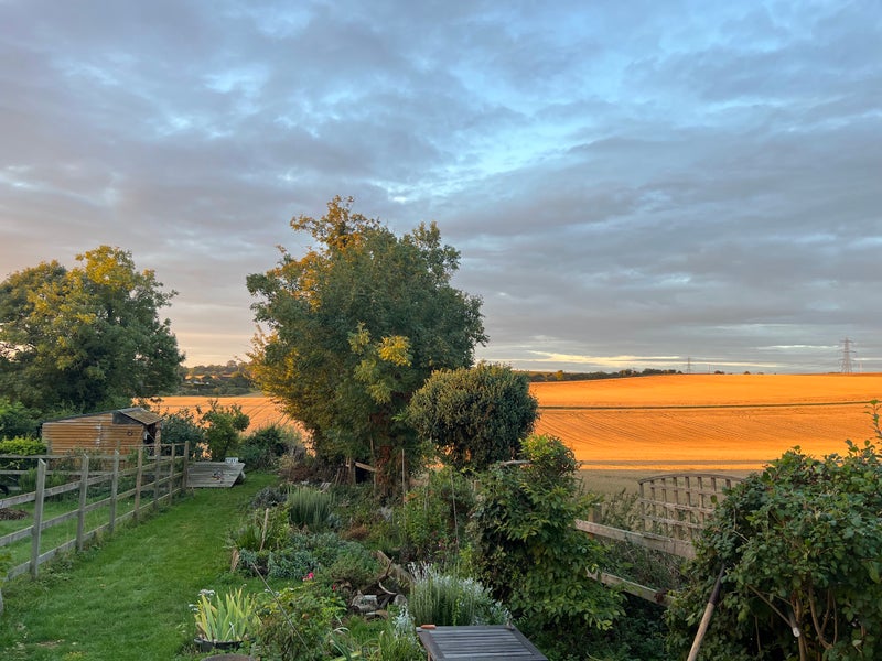 Photo 1: View south from kitchen-dining