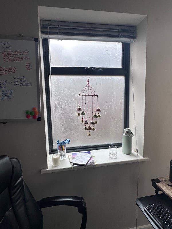 Photo 1: Bedroom window 