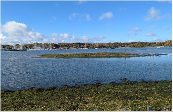 Photo 1: Hook nature reserve