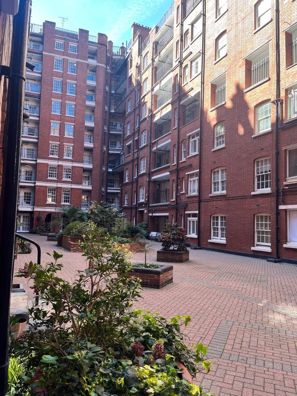 Photo 1: Courtyard that you will see from your window!