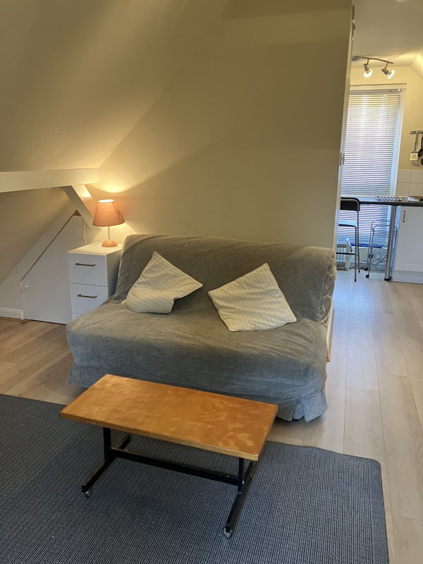 Photo 1: Living/sleeping area 