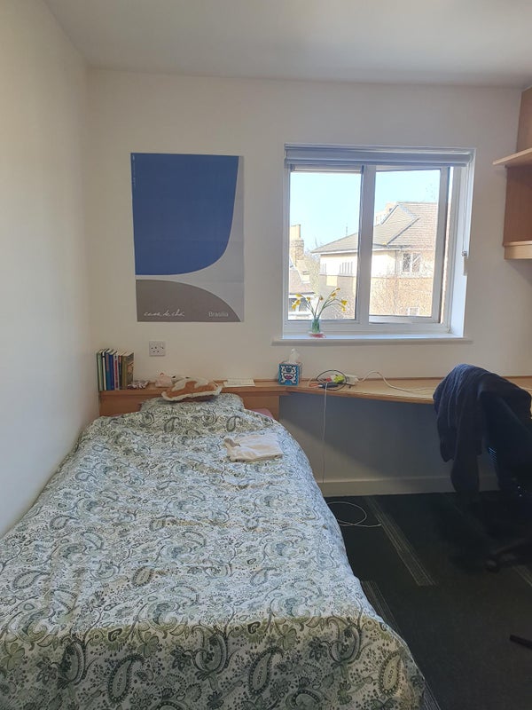 Photo 1: Bed and window