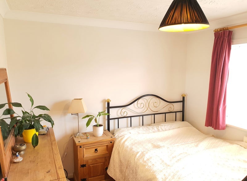 Photo 1: Tidy and clean double room which enjoys the morning sun