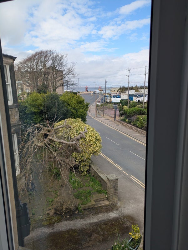 Photo 1: View from front bedroom