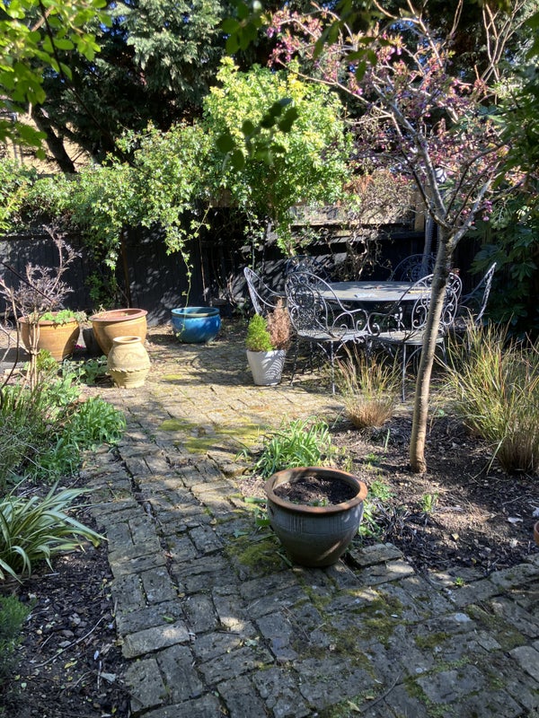 Photo 1: BBQs, roses, late afternoon sunshine. A sanctuary for the soul