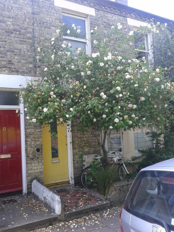 Photo 1: front of house