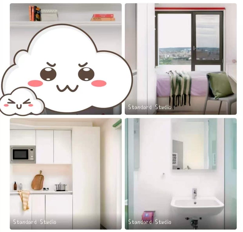 Photo 1: Standard Studio