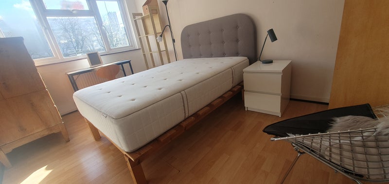 Photo 1: The available room is very sunny