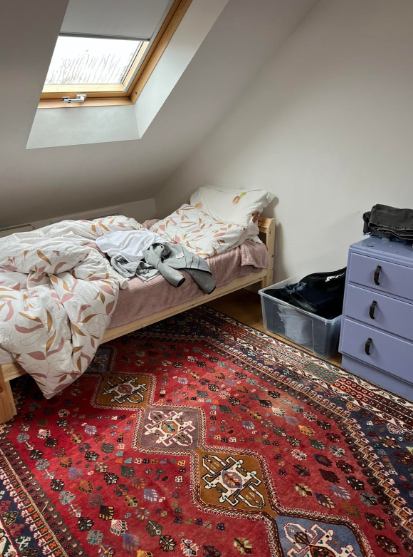 Photo 1: Fully furnished room for rent