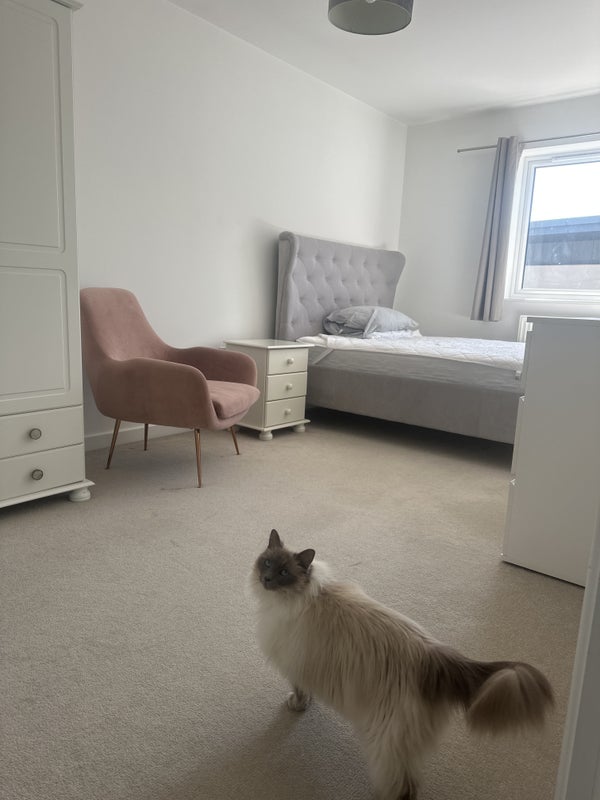 Photo 1: Your bedroom and your tour guide 