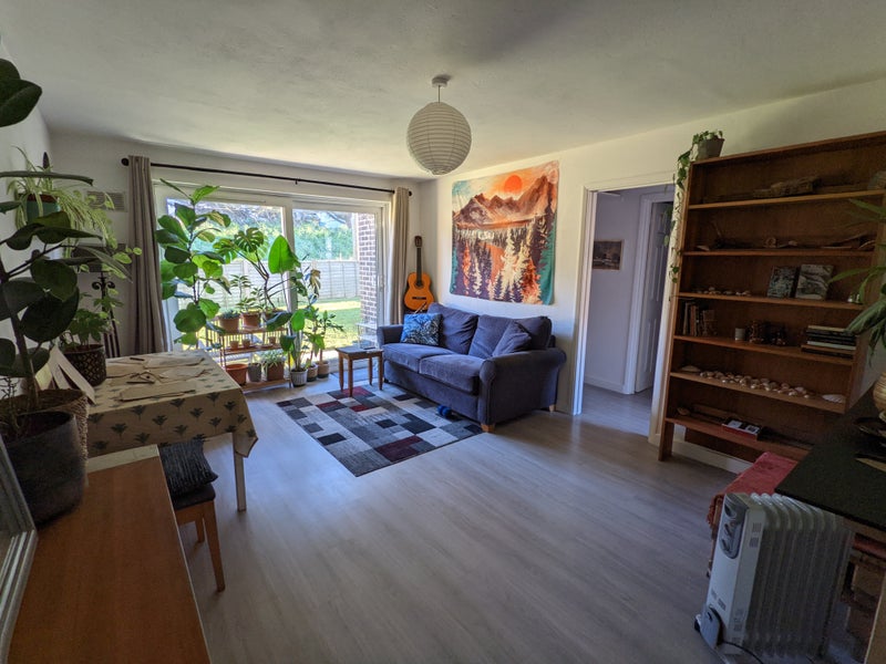 Photo 1: Living room with sofa (bed) dining & coffee table and storage 
