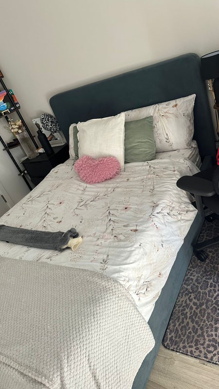 Photo 1: bedroom