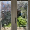 Photo 6: Garden