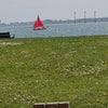Photo 4: The view