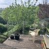Photo 7: Garden