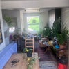 Photo 3: Living Room3