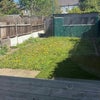Photo 3: Garden 