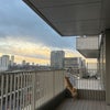 Photo 5: Balcony 