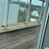 Photo 6: View from desk