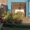 Photo 2: Garden/decking