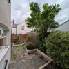 Photo 6: Garden