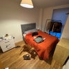 Photo 4: Room to rent *dog not included*