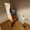 Photo 5: Room to rent