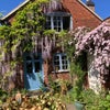 Photo 9: April 2026: dripping with Wisteria & Clematis