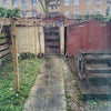 Photo 8: Garden