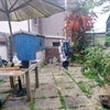 Photo 8: Rear Enclosed Garden