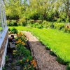 Photo 5: garden by conservatory