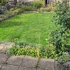 Photo 5: Shared Garden