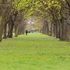 Photo 9: Regent's Park